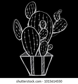 A vector illustration sketch of a cactus in a pot of dirt.