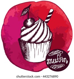 Vector illustration. Sketch cake muffin on a watercolor background. Pastry with berries. 
Sweet dessert with a cherry. For menu design.