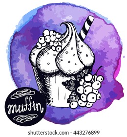 Vector illustration. Sketch cake muffin on a watercolor background. Pastry with berries. Sweet dessert with currants.  For menu design.