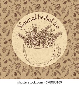 Vector illustration sketch card - craft herbal tea