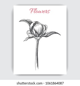 Vector illustration sketch - card with flowers peony.
