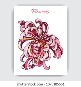 Vector illustration sketch - card with flowers chrysanthemum.