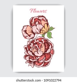 Vector illustration sketch - card with flowers peony.