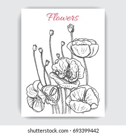Vector illustration sketch - card with flowers poppy