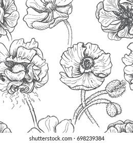 Vector illustration sketch - card with flowers poppy. Pattern with flowers.