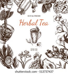 Vector illustration sketch card - herbal tea - berry , rose hip, linden, mint, chamomile, Jasmine, Soursop, lemon, bergamot