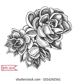 Vector illustration sketch - card with succulent flowers.