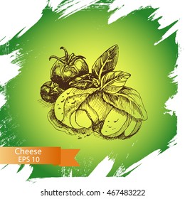 Vector illustration sketch - cheese.
Mozzarella
Caprese salad ingredients.