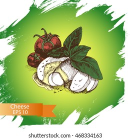 Vector illustration sketch - cheese.
Mozzarella
Caprese salad ingredients.