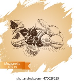 Vector illustration sketch - cheese.
mozzarella, basil
