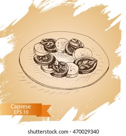 Vector illustration sketch - cheese.
mozzarella, basil
