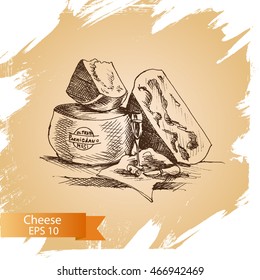 Vector illustration sketch â?? cheese.
Parmigiano, cheddar, parmesan.
