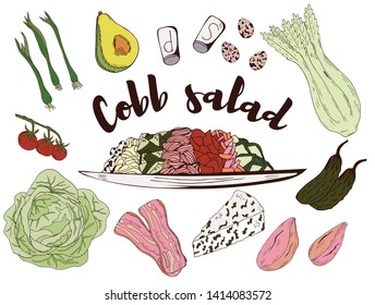 Vector illustration sketch - Cobb Salad marketCard menu. Vintage design template, banner. 