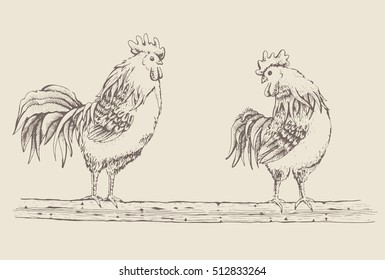 Vector illustration - sketch cock and broody. Series of farm animals. Graphics, handmade drawing Rooster and hen. Vintage engraving style. Isolated chicken birds are sitting on a tree branch