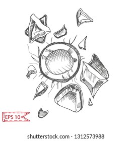 Vector illustration sketch coconut.
Illustration - exotic fruit.