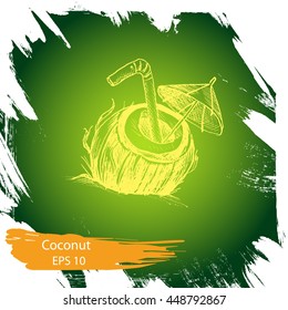 Vector illustration sketch coconut.
Illustration - exotic fruit.