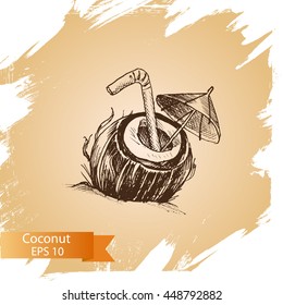 Vector illustration sketch coconut.
Illustration - exotic fruit.