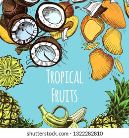Vector illustration sketch coconut, mango, banana, pineapple. Illustration - exotic fruit.