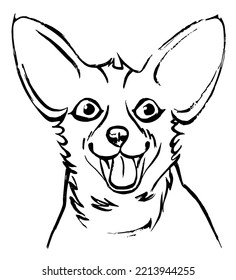 Vector illustration of a sketch of a corgi dog. Graphic drawing by line, drawing by hand.