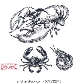 Vector illustration sketch - crab, shrimp, lobster.