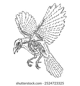 vector illustration sketch of a crow with a transparent skeleton of its bones with a unique design