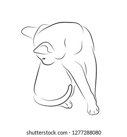 Vector illustration. Sketch of a domestic kitten.EPS 8