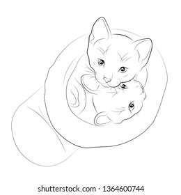 Vector illustration. Sketch of domestic kittens sitting in a boot.EPS 8