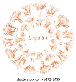 Vector illustration. Sketch drawn mushrooms compound into the circle