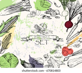 Vector illustration. Sketch drawn vegetables : carrot, beet, pepper, celery, pea, onion, cabbage, tomato, zucchini, eggplant, corn. All objects are full and isolated.