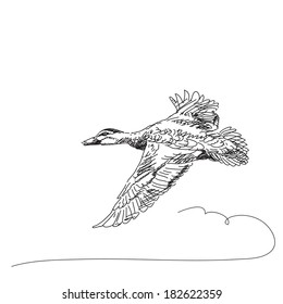 Vector Illustration Sketch of Duck flying over cloud
