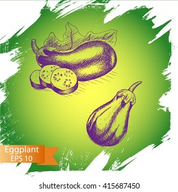 Vector illustration sketch eggplant.