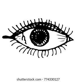 Vector illustration. Sketch of the eye with eyelashes. 