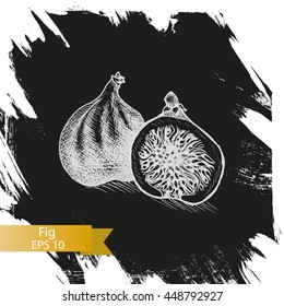 Vector illustration sketch fig.
Illustration - exotic fruit.