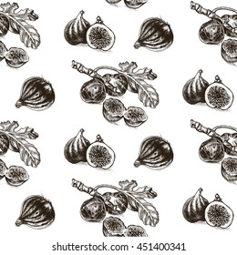 Vector illustration sketch fig.
Illustration - exotic fruit.