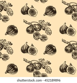 Vector illustration sketch fig.
Illustration - exotic fruit.