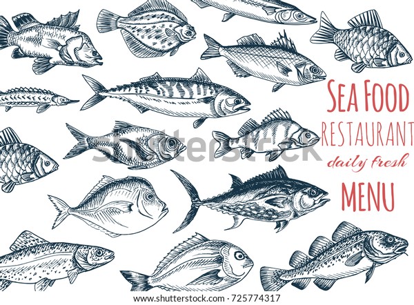 ベクターイラストスケッチ 魚料理店 カードメニューの魚介類 ビンテージデザインテンプレート バナー のベクター画像素材 ロイヤリティフリー