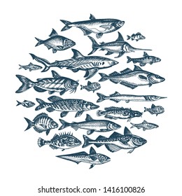 Vector illustration sketch - fish pattern. Hand drawn card menu restaurant.