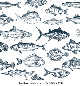 Vector illustration sketch    fish pattern