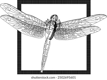 Vector illustration sketch of fish wall decoration design silhouette in box frame