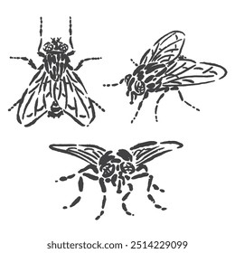 esboço de ilustração vetorial de um inseto mosca com três posições com um design único