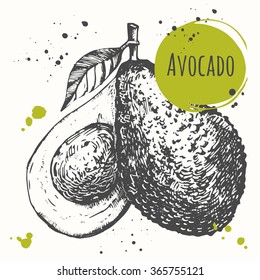 Vector illustration with sketch fruit. Black and white.