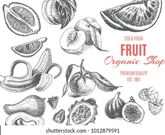 Vector illustration sketch - fruits. Card organic shop. vintage design template, banner.