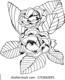Vector illustration. Sketch of gloxinia flower