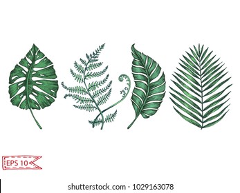Vector illustration sketch - Hand drawn exotic leafs.