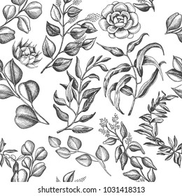 Vector Illustration Sketch - Hand Drawn Pattern Eucalyptus, Succulent Flowers.