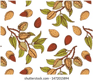 Vector Illustration Of Sketch Hand Drawn Pattern With Colorful Branches Almond Nuts, Tree. Vintage,organic, Vegan, Food, Floral Background. Botanical Plants Drawing Wallpaper. Line Art, Engraving