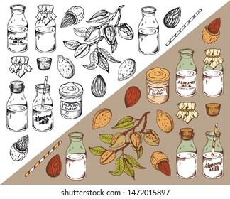 Vector illustration of sketch hand drawn set of black and white and colorfull almond nuts, tree, retro botle with milk and butter. Vintage organic vegan food background. . Botanical plants drawing