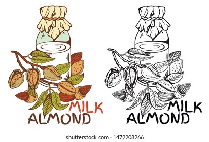 Vector illustration of sketch hand drawn vintage black and white and colorful Almond Milk label. Organic vegan food logo isolated on white background. Line Art