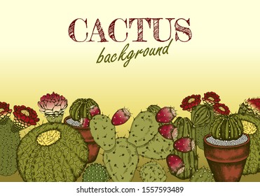 Vector illustration of sketch hand drawn poster with colorful cacti with flowers in the desert. Retro, vintage botanical cactus background. Tropical and exotic floral plant. Arizona, Texas, Spain