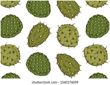 Vector illustration of sketch hand drawn pattern with green cactus plant isolated on white background. Engraving cactus. Botanical, tropical, exotic wallpaper. Texas, Arizona, Mexico, Spain